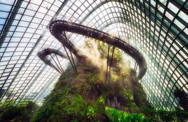 cloud forest zone