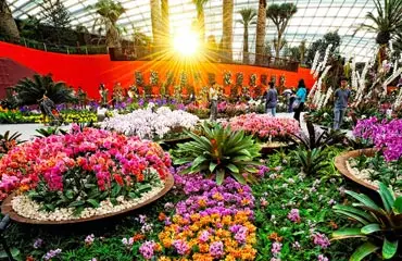 flower dome zone