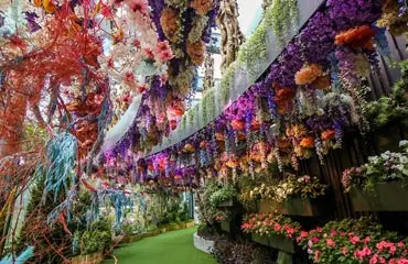 floral fantasy zone