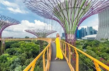 ocbc skyway zone