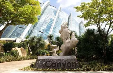 the canyon zone