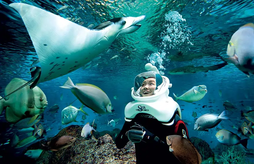 Adventure Cove Waterpark Singapore