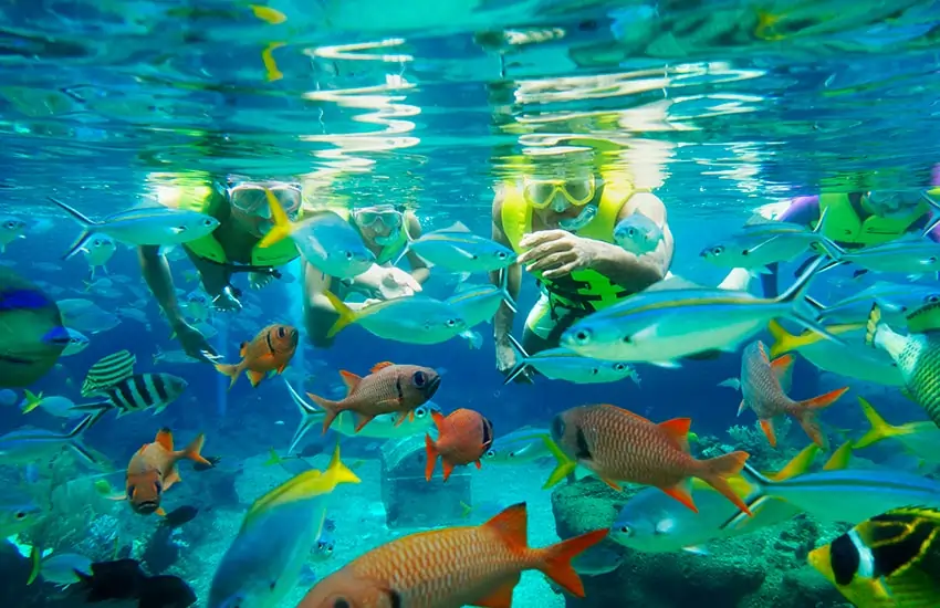 Adventure Cove Waterpark Singapore