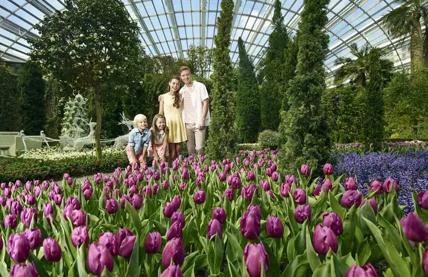 Garden By The Bay Singapore