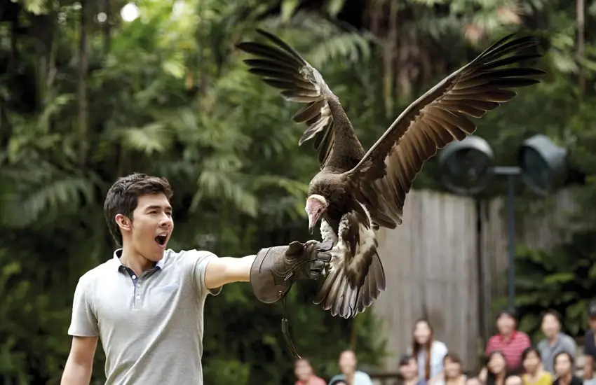 Jurong Bird Park Singapore