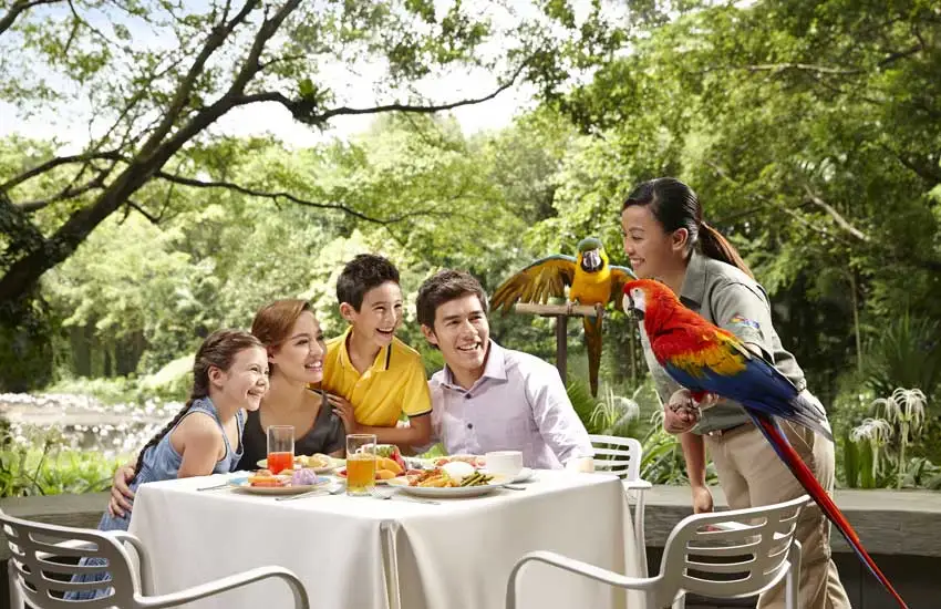 Jurong Bird Park Singapore