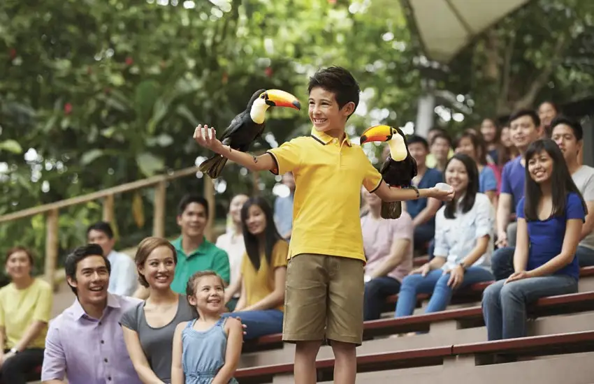 Jurong Bird Park Singapore