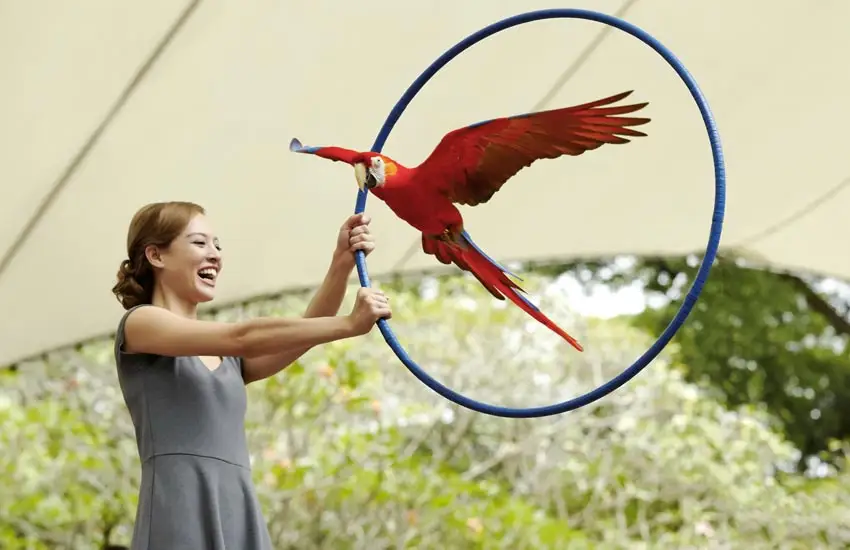 Jurong Bird Park Singapore