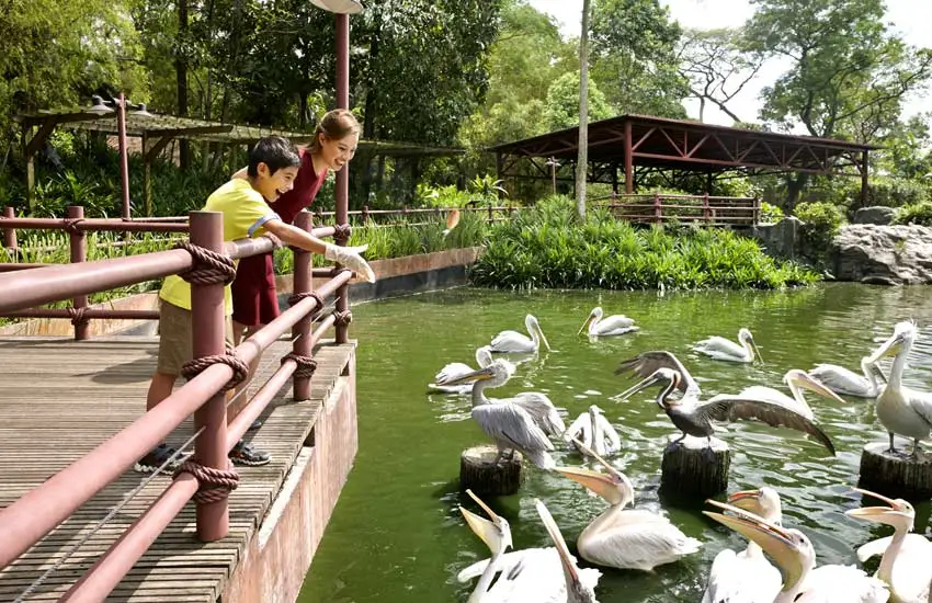 Jurong Bird Park Singapore