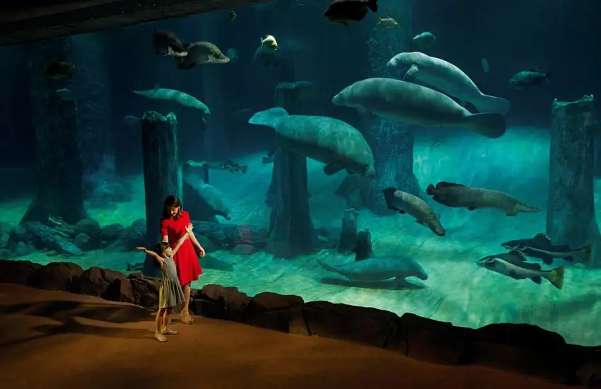 River Wonders Singapore