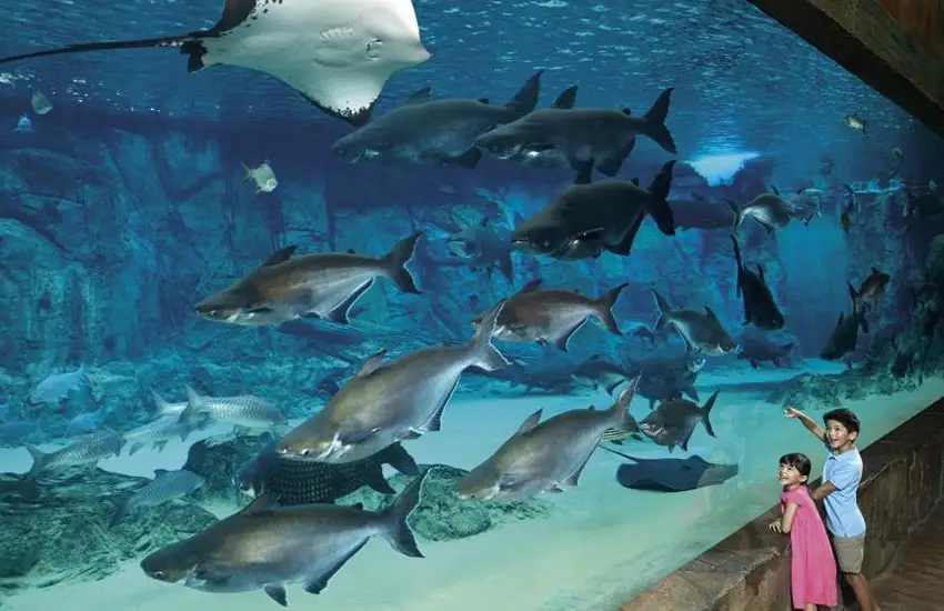 River Wonders Singapore