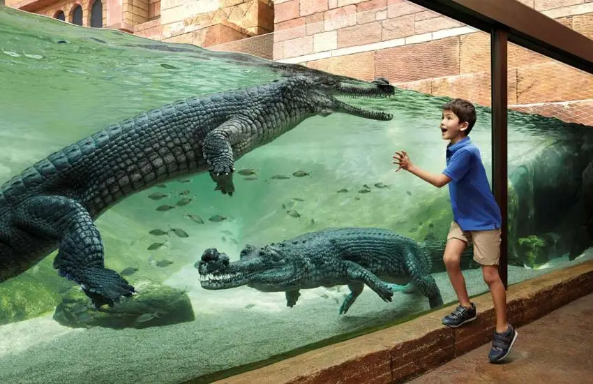 River Wonders Singapore