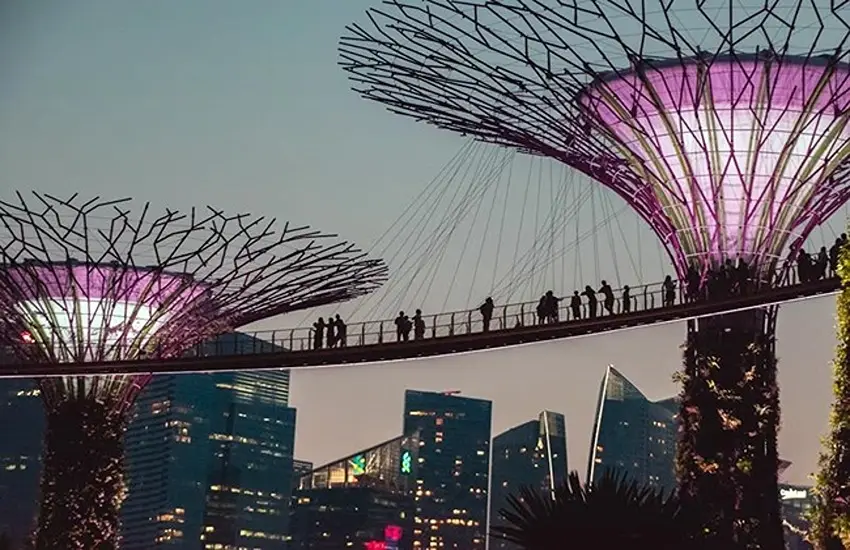 Singapore Flyer and Garden by the Bay
